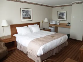 Lakeview Inns & Suites - Brandon - Chambre