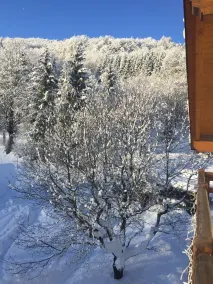 CasaDalsass DolomitiPaganellaLagoMolveno - Vista dalla camera
