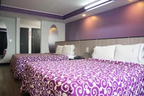 Hotel Max - Room