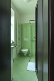 Čajkovskij Apartments - Bagno