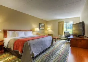 Comfort Inn & Suites Chattanooga West - Lookout Mountain - Chambre