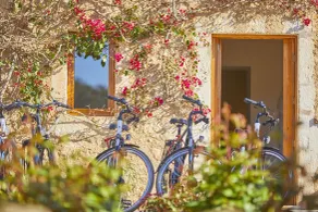 Son Penya Adults Only Petit Hotel & Spa - Rezeption