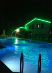 Green Garden - Pool