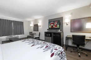Red Roof Inn Clifton Park - Chambre
