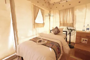 Amazing Desert Camp - Camera