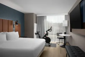 Tempo By Hilton Pigeon Forge - Chambre