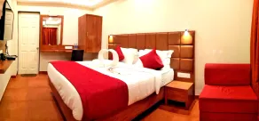 Hotel Viva Anjuna - Room