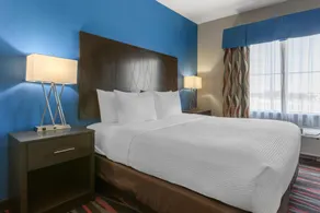 Best Western Plus Tech Medical Center Inn - Chambre