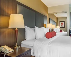 Comfort Inn - Chambre