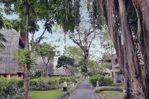Mercure Resort Sanur - View from room