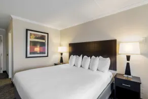 Best Western St Louis Kirkwood Route 66 - Chambre
