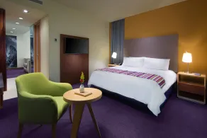 Hilton Garden Inn Monterrey Airport - Room