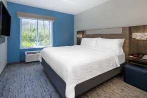 Holiday Inn Express and Suites Tampa I-75 at Bruce B. Downs by IHG - Vue de la chambre