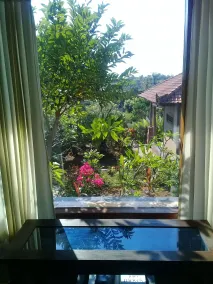 Eliska Sari Bungalows Sumberkima - Vue de la chambre