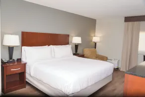 Holiday Inn Blmgtn Arpt South - Mall Area by IHG - Rom