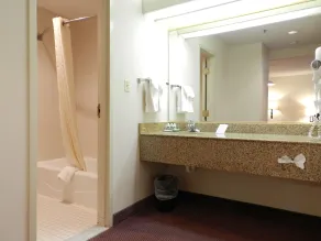 Ashmore Inn and Suites Lubbock - Salle de bain
