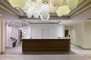 Hilton Garden Inn Bloomington - Réception