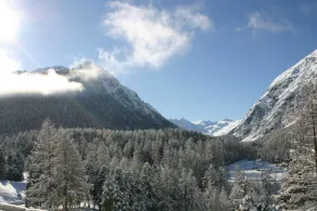 Hotel Saratz Pontresina Mountain Resort & Spa - View from room