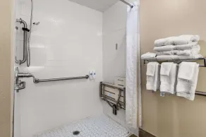 Comfort Inn & Suites Chipley I-10 - Salle de bain
