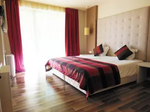 Tsarsko Selo Spa Hotel - Room