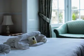 The Falcon Hotel - Room
