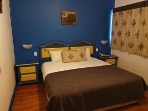 Hotel Residencia Polanco - Room