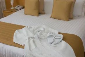 Imperial Hotel - Room