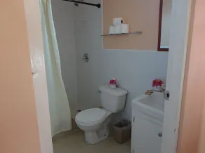 Tropical Paradise - Bathroom