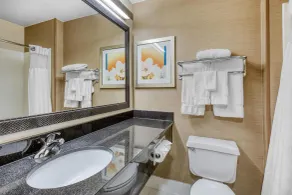 SureStay by Best Western Mount Pleasant Racine - Salle de bain