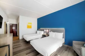 Comfort Inn Asheville Airport - Chambre