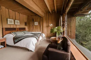Huilo Huilo Nothofagus Hotel & Spa - Room