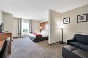 Comfort Suites University - Chambre