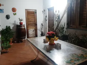 Casa Vacanze "Villa Angelina" - Terrasse/gårdhave