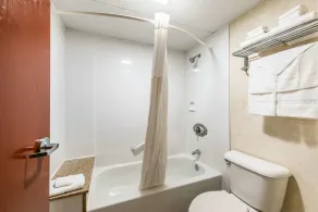 Quality Inn Bradley- Bourbonnais - Chambre