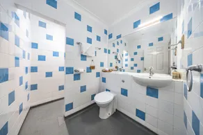 The Grapes - Baño