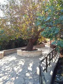 Dimitra Apartments Zakros Village - Utsikt fra rommet
