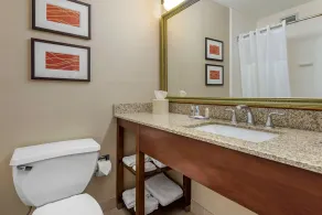 Comfort Inn Lancaster County North - Salle de bain
