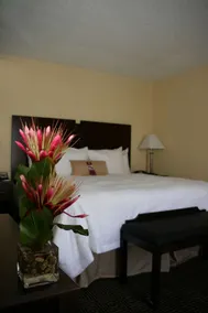 Hampton Inn & Suites Orlando-John Young Pkwy/S. Park - Chambre