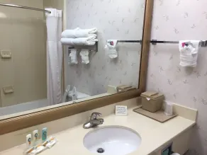 Quality Inn & Suites Near University - Salle de bain