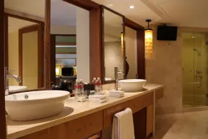 Grand Hyatt Bali - Bathroom