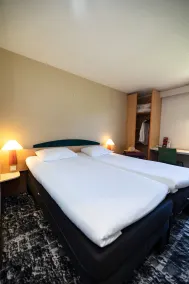 Hotel ibis Autun - Rum
