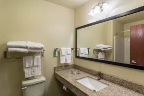 Cobblestone Hotel & Suites - Greenville - Baño