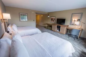 Hampton Inn & Suites Tilton - Chambre