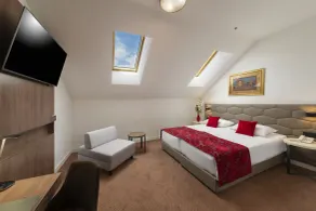 Hotel PARK 45 - Room