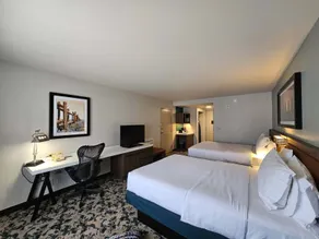 Hilton Garden Inn Dallas Lewisville - Rum