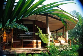 Wollumbin Palms Rainforest Retreat - Room