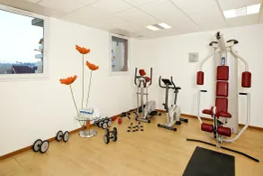 Séjours & Affaires Genève Saint Genis - Gym