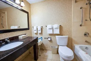 Comfort Inn & Suites Ambassador Bridge - Badeværelse