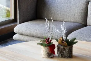 Hotel Euroski Mountain Resort & Spa - Réception