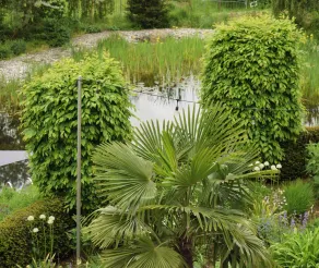 Landhotel Rügheim - View from room
